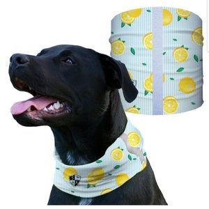 Lemon Zest dog Shield Bandana Scarf